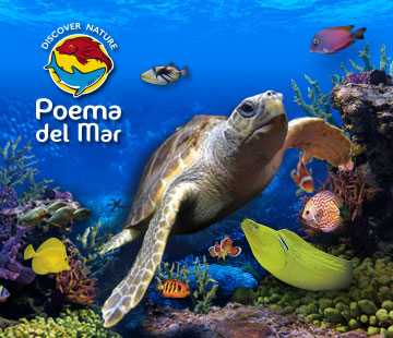 Entradas Poema del Mar